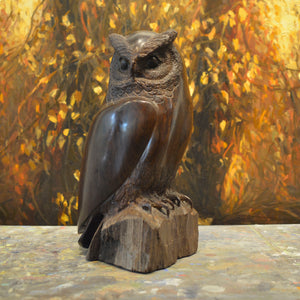 Thomas Suby with Ramon D.C., "Medium Owl"