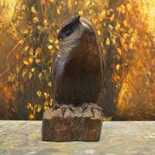 Load image into Gallery viewer, Thomas Suby with Ramon D.C., &quot;Medium Owl&quot;

