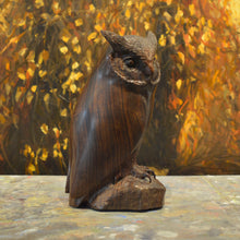 Load image into Gallery viewer, Thomas Suby with Ramon D.C., &quot;Small Owl&quot;
