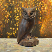Load image into Gallery viewer, Thomas Suby with Ramon D.C., &quot;Small Owl&quot;
