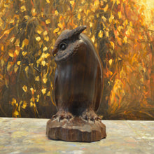 Load image into Gallery viewer, Thomas Suby with Ramon D.C., &quot;Small Owl&quot;
