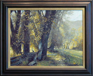 Richard Murray "Wanship Fields"